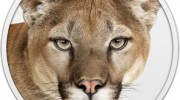 mountain-lion